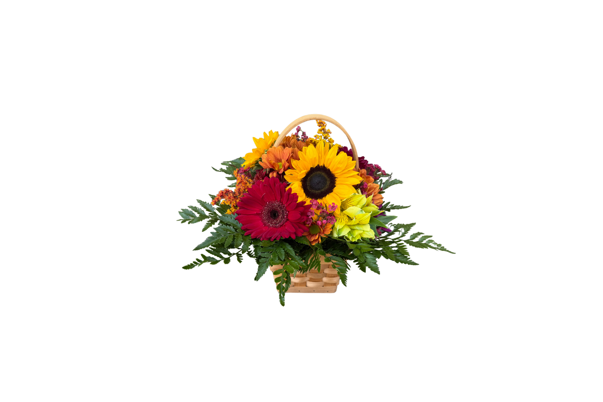 Denton  Florist Autumn Sunshine Basket