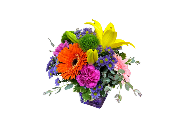 Bonnie Brae Blossoms Denton TX