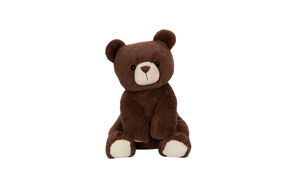 Teddy Bear Denton Florist