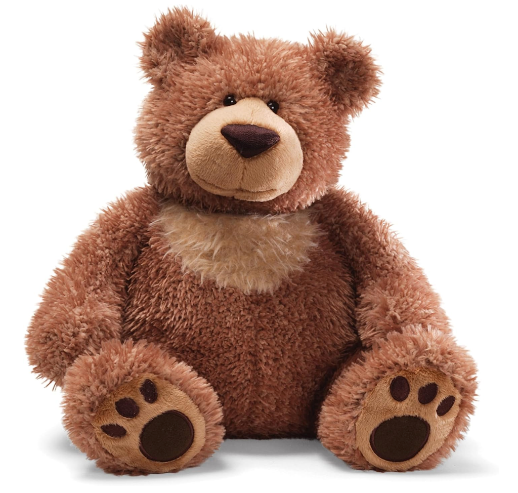 Gund Slumbers Bear Denton Florist Texas