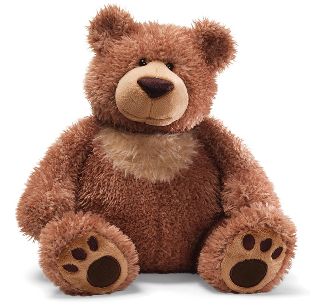 Gund Slumbers Bear Denton Florist Texas
