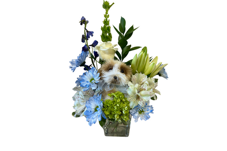 Denton Florist New Baby Flower Arrangement