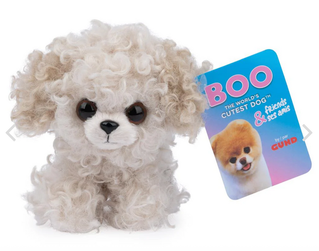 Boo Bowie Multipoo Denton Florist Texas