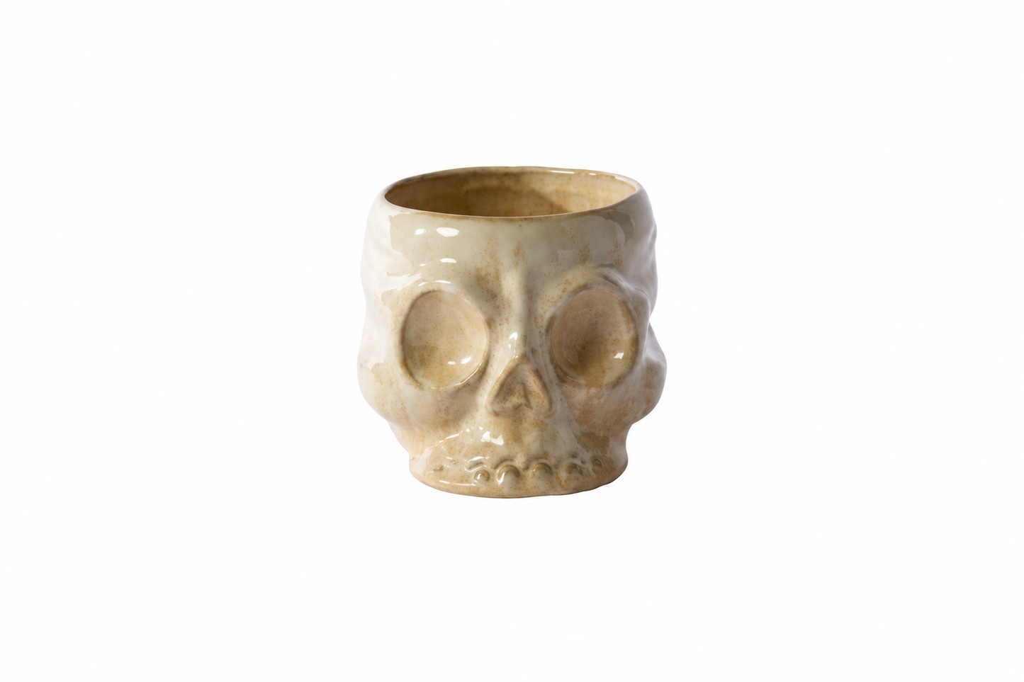 Ceramic Skull Pot Denton Texas