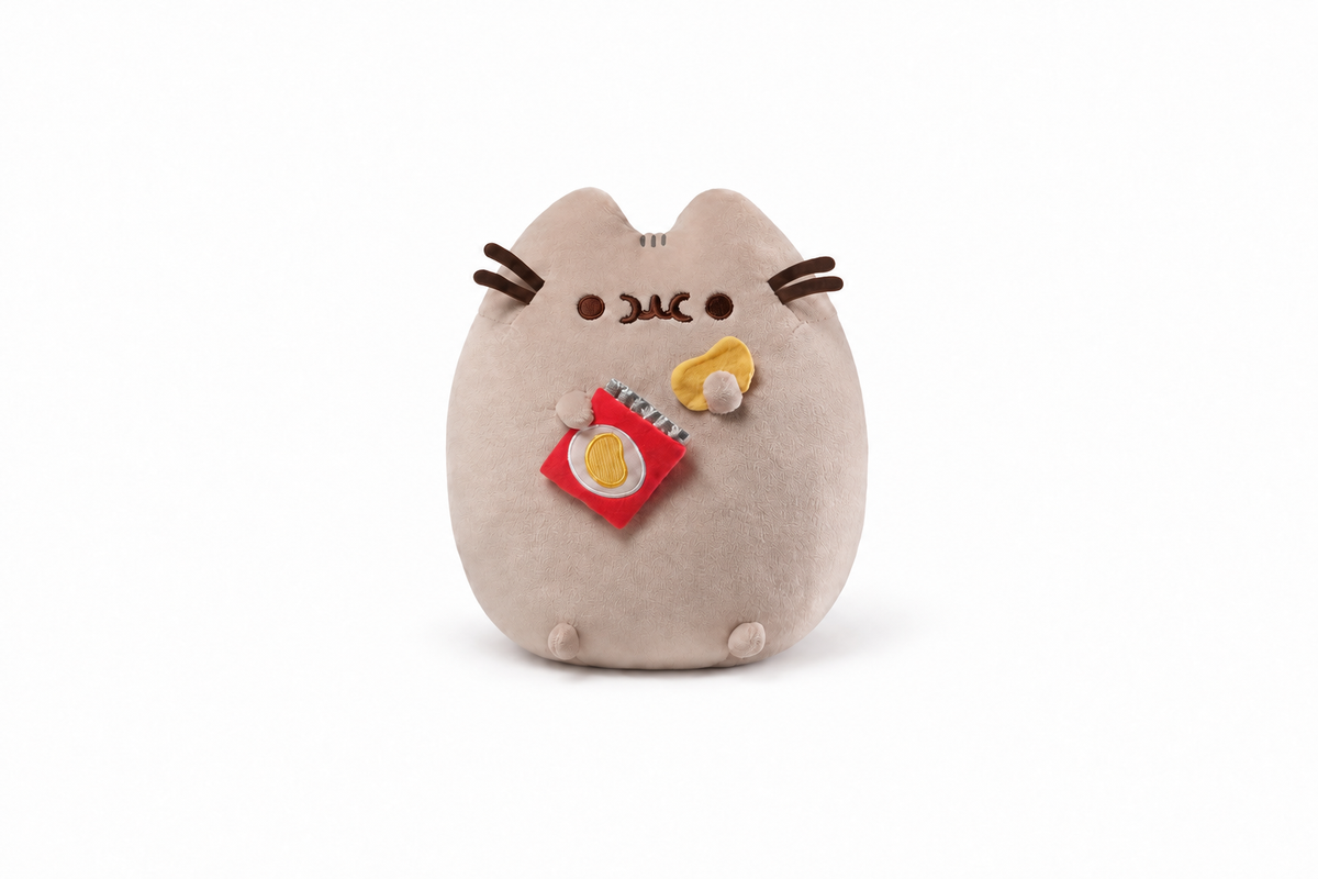 Pusheen Cat with Chips in Denton Texas