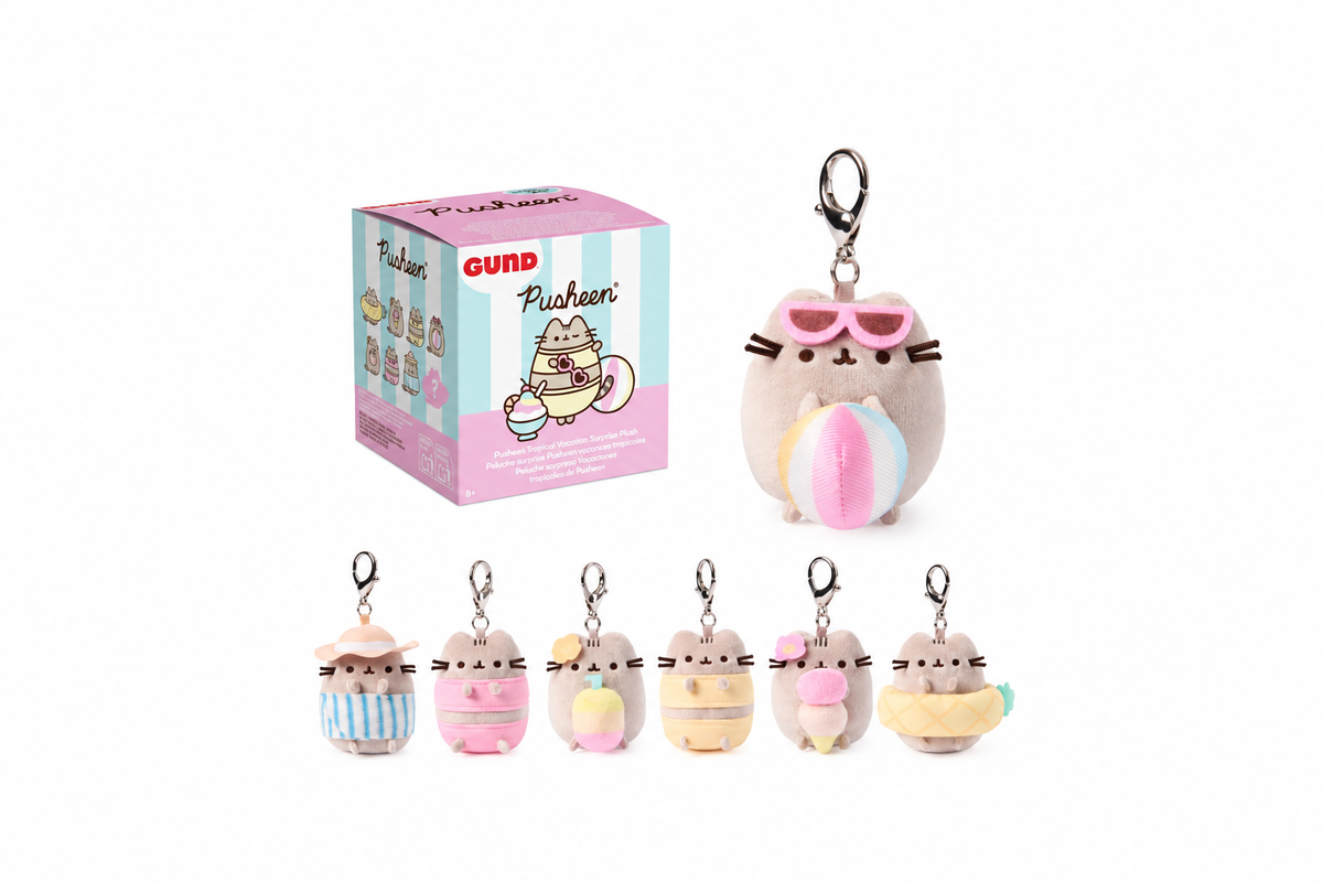 Pusheen Suprise Boxes in Denton Texas