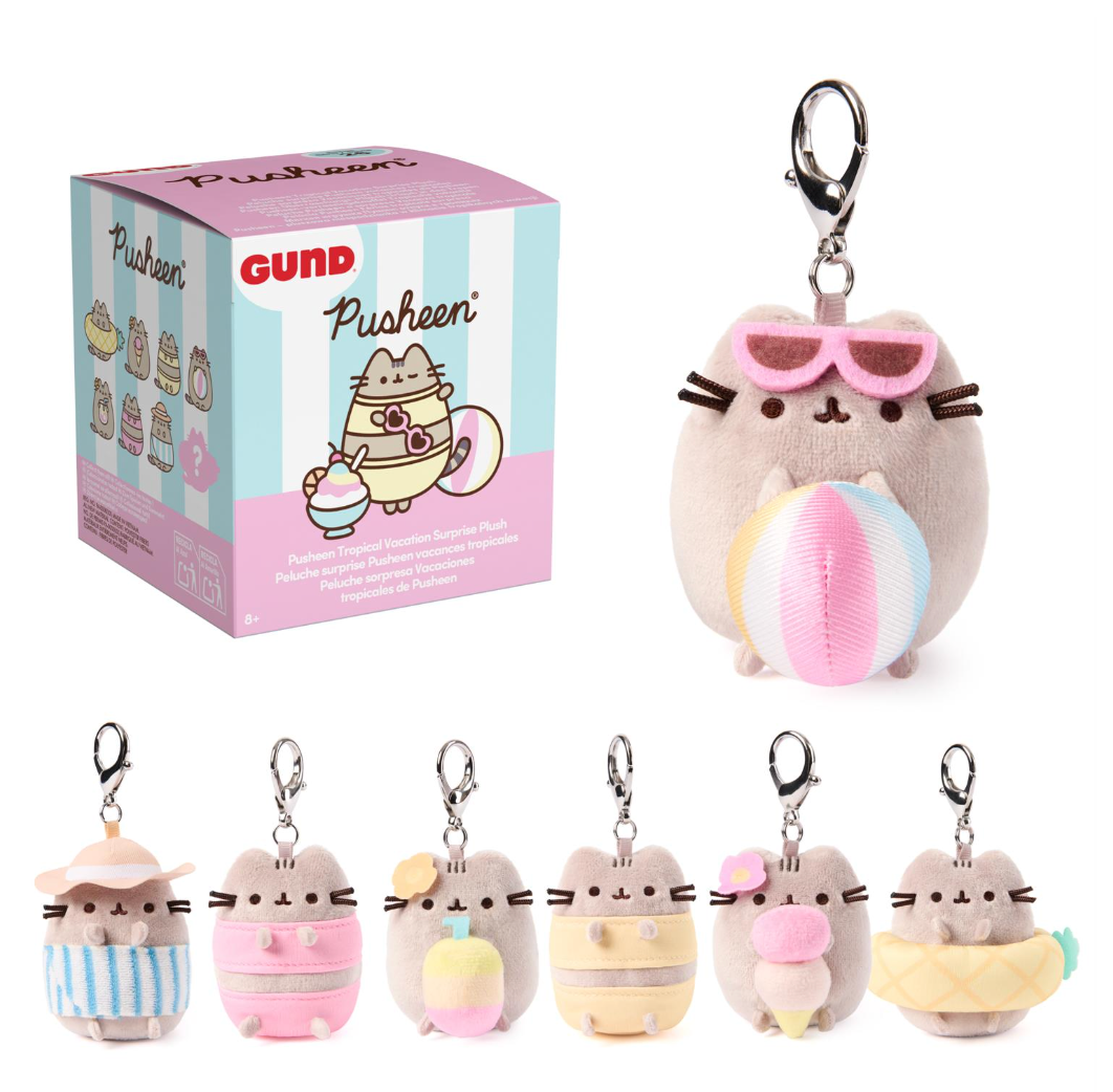Pusheen keychain Denton Texas