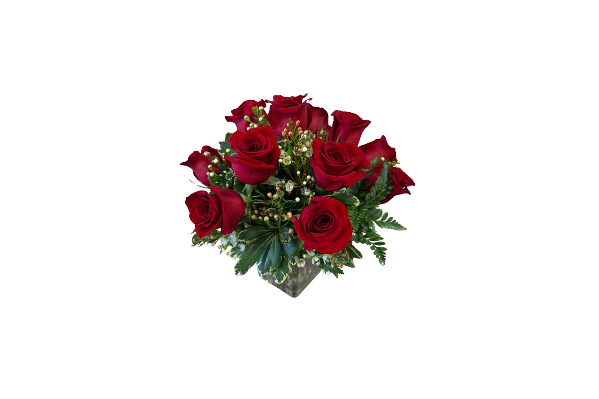Denton Florist Red One Doze Roses 