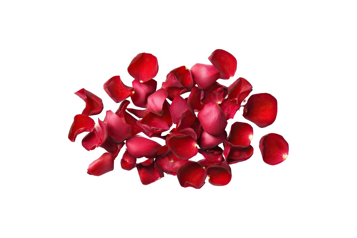 Denton Florist Rose Petals