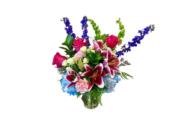 Stargazer and Delphinium Denton TX